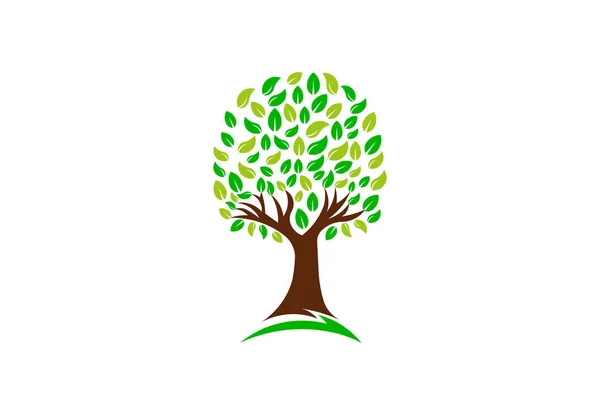 Árbol verde de la naturaleza, logotipo del vector — Vector de stock