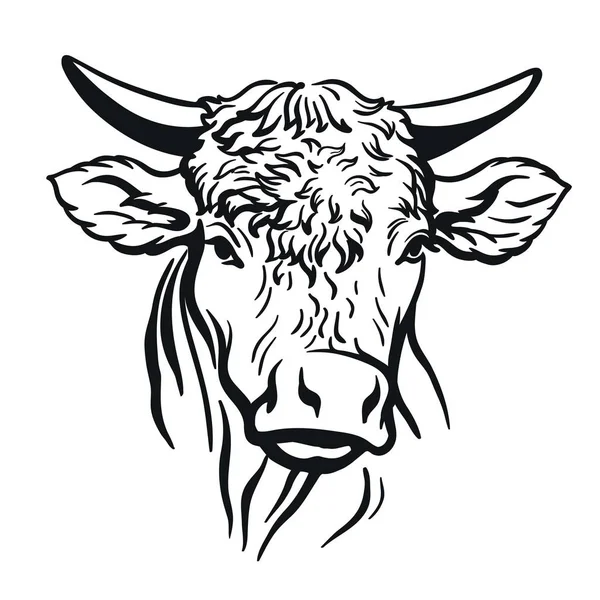 雄牛の頭部。白のベクトル図 — ストックベクタ