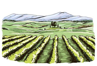 color drawing of the landscape of the Italian province of Tuscany clipart