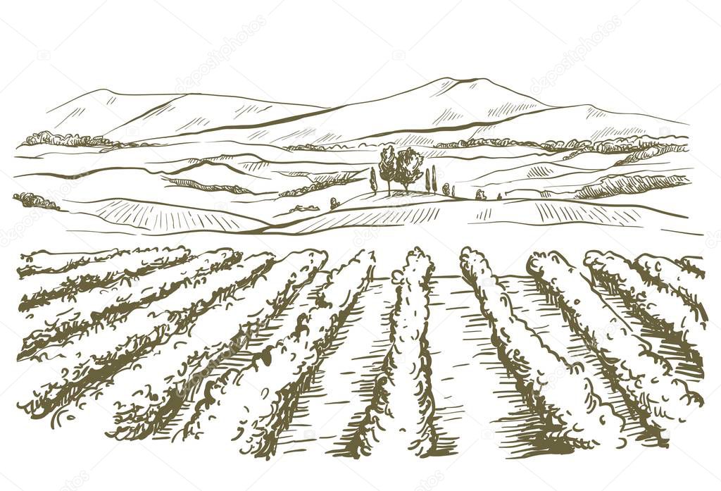 drawing of the landscape of the Italian province of Tuscany