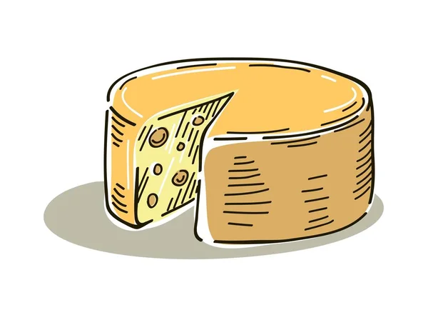 Kleur vector tekening van kaas hoofd met gesneden stuk — Stockvector