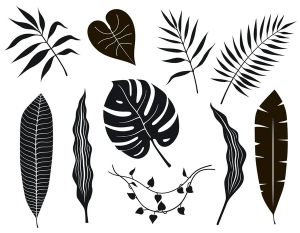 Feuilles tropicales noires et blanches sur fond blanc — Image vectorielle