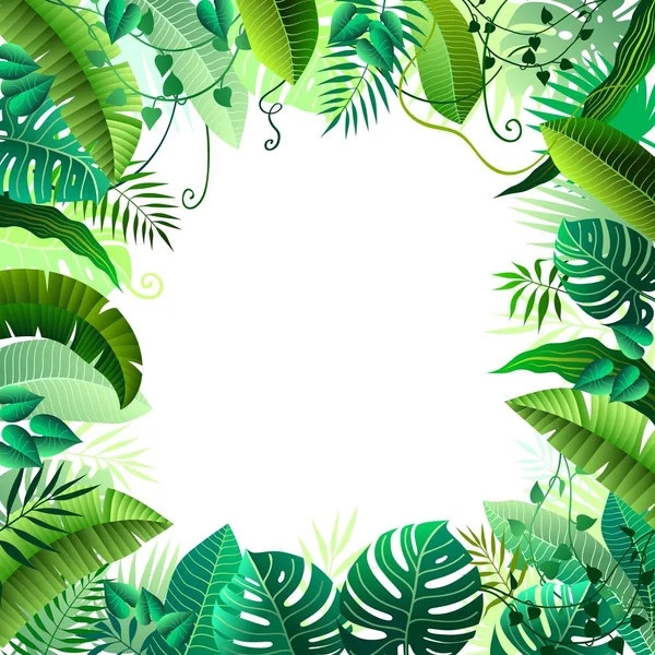 Marco de diferentes hojas tropicales sobre fondo blanco — Archivo Imágenes Vectoriales