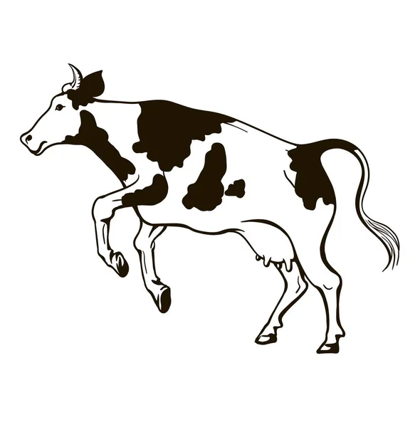 飛び跳ねる牛の白黒イラスト — ストックベクタ