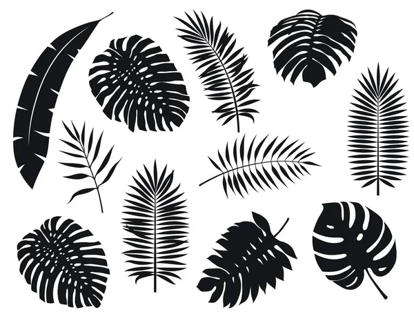 Feuilles de plantes tropicales. jeu d'illustrations vectorielles sur blanc — Image vectorielle