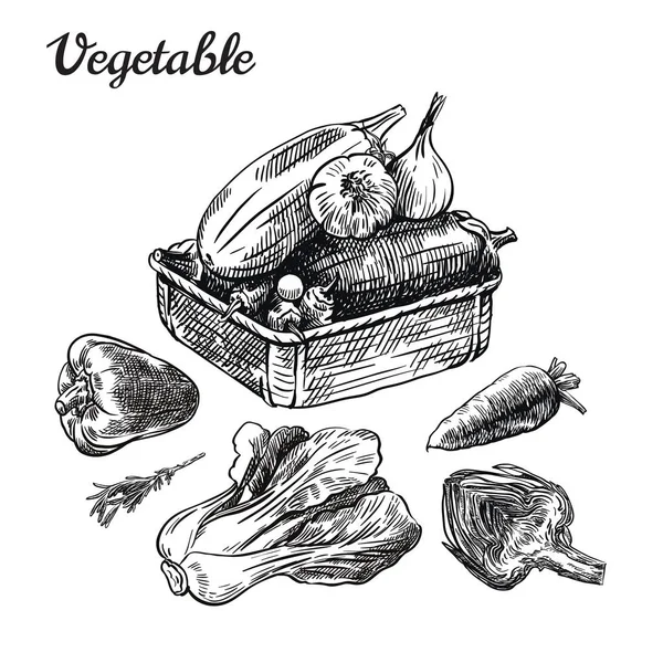 Naturalnych warzyw. Zbioru. ilustracja na białym tle wektor — Wektor stockowy