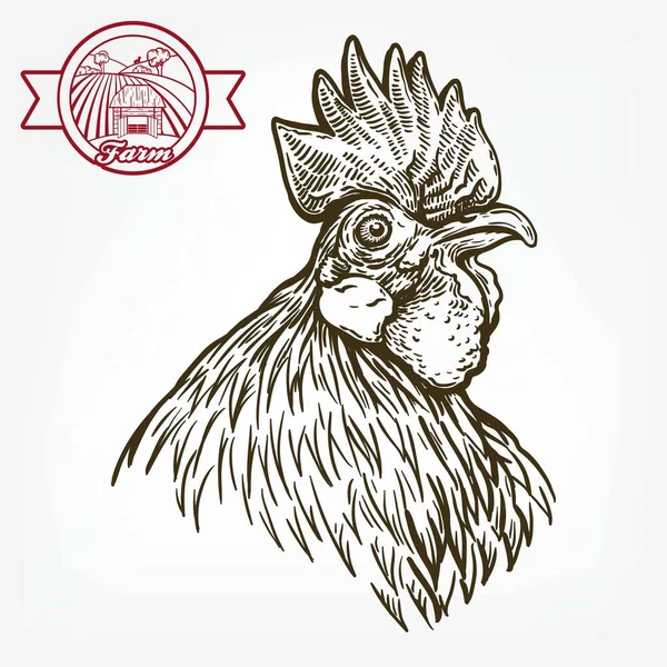 Chicken breeding. animal husbandry. livestock. vector sketch on a white — Stock Vector