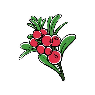 Böğürtlenli yaban mersini dalı. Beyaz arkaplanda izole edilmiş vektör illüstrasyonu