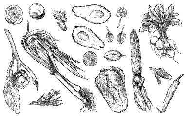 Çeşitli yemekler ve sofra hazırlamak için gerekli malzemeler. Doğal ürünler. Beyaz arkaplanda bir dizi çizim