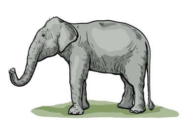 Afrika fili hortumu havada duruyor. elle çizilen vektör çizimi