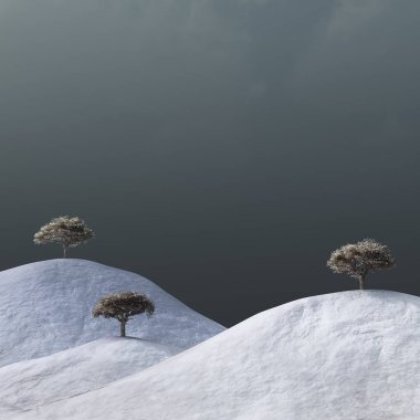 bir kış manzarası çıplak ağaçlarda