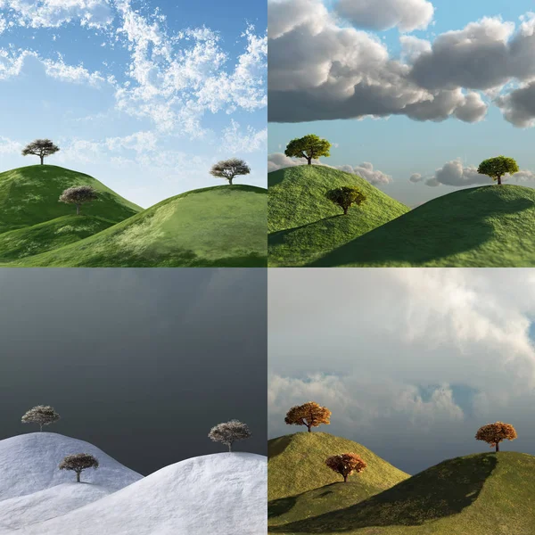 Seasons Trees Landscape Time Lapse Set — Stock Photo, Image