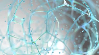 soyut biyo net yapısı