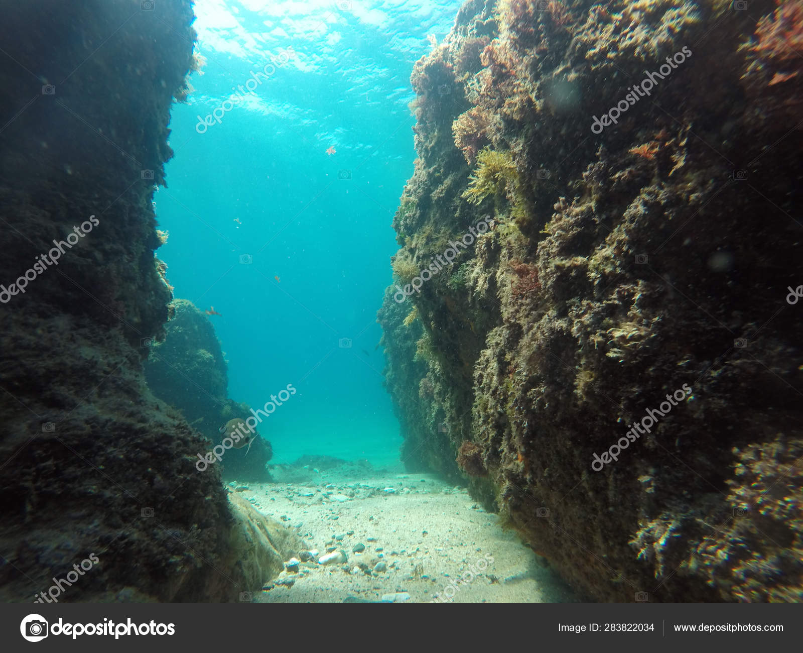 Rocks Sea Natural Underwater Background — Stock Photo © photobank2  #283822034, image size:1600x1300