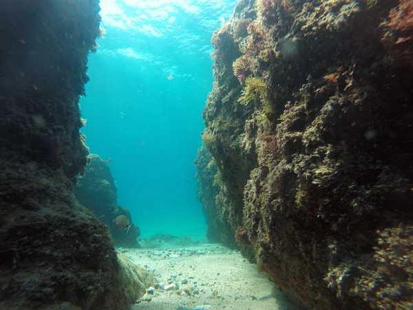 Klippor Havet Naturlig Undervattens Bakgrund — Stockfoto