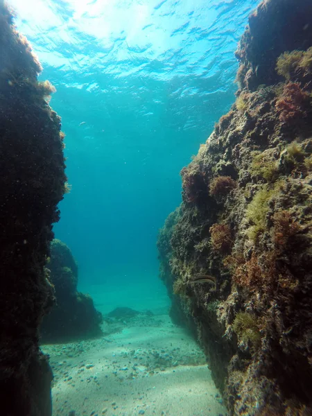 Klippor Havet Naturlig Undervattens Bakgrund — Stockfoto