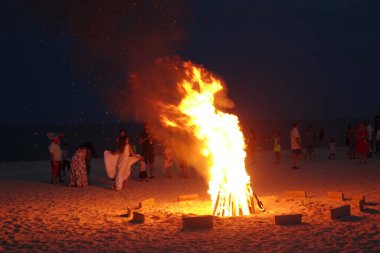 Fedotova Kosa 'nın sahil hayatı, Azov denizi, Ukrayna