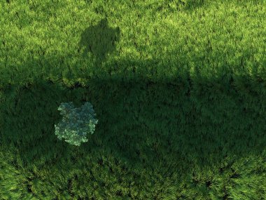 Yeşil tarladaki ağaç, gökyüzü manzaralı.