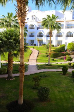 Sharm el-Sheikh, Mısır - 14 Mart 2018. Bir yaz gününde mükemmel bir beyaz otel avlusu. Turizm, tatil ve lüks eğlence kavramı. Cyrene Grand otel konaklama