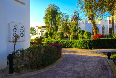 Sharm el-Sheikh, Mısır - 14 Mart 2018. Bir yaz gününde mükemmel bir beyaz otel avlusu. Turizm, tatil ve lüks eğlence kavramı. Cyrene Grand otel konaklama