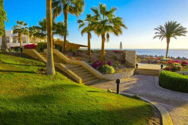 Sharm el-Sheikh, Mısır - 14 Mart 2018. Bir yaz gününde mükemmel bir beyaz otel avlusu. Turizm, tatil ve lüks eğlence kavramı. Cyrene Grand otel konaklama