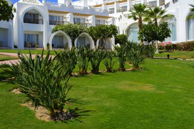 Sharm el-Sheikh, Mısır - 14 Mart 2018. Bir yaz gününde mükemmel bir beyaz otel avlusu. Turizm, tatil ve lüks eğlence kavramı. Cyrene Grand otel konaklama