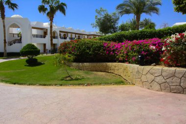 Sharm el-Sheikh, Mısır - 14 Mart 2018. Bir yaz gününde mükemmel bir beyaz otel avlusu. Turizm, tatil ve lüks eğlence kavramı. Cyrene Grand otel konaklama