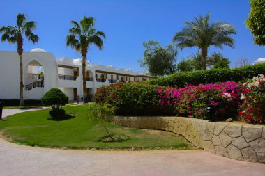 Sharm el-Sheikh, Mısır - 14 Mart 2018. Bir yaz gününde mükemmel bir beyaz otel avlusu. Turizm, tatil ve lüks eğlence kavramı. Cyrene Grand otel konaklama