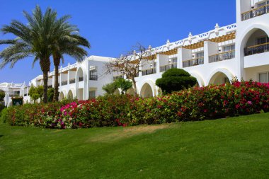 Sharm el-Sheikh, Mısır - 14 Mart 2018. Bir yaz gününde mükemmel bir beyaz otel avlusu. Turizm, tatil ve lüks eğlence kavramı. Cyrene Grand otel konaklama