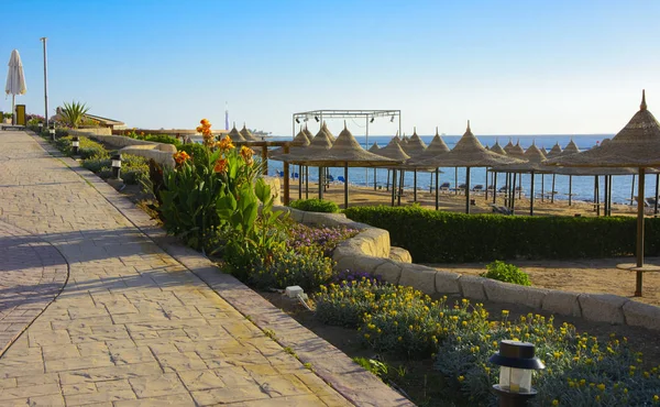 Sharm Sheikh Egypt Marca 2018 Wiersz Słomiane Parasole Ochrony Przed — Zdjęcie stockowe