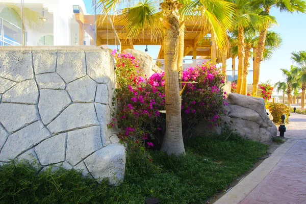 Sharm Sheikh Egypt March 2018 Courtyards Magnificent White Hotel Summer — Stock Photo, Image