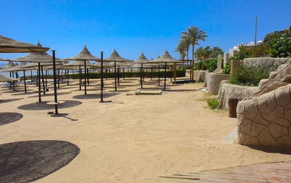 Sharm Sheikh Egypt Marca 2018 Wiersz Słomiane Parasole Ochrony Przed — Zdjęcie stockowe