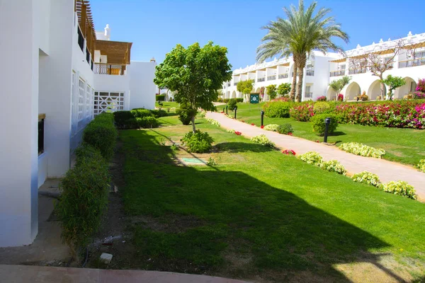 沙姆沙伊赫 2018年3月14日 一个美丽的白色旅馆的庭院在夏天天 度假和奢侈娱乐的概念 在古利奈人大酒店住宿 — 图库照片
