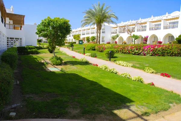 Sharm Sheikh Egipto Marzo 2018 Los Patios Magnífico Hotel Blanco — Foto de Stock