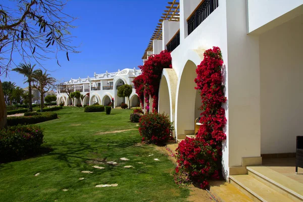 Sharm Sheikh Egito Março 2018 Pátios Magnífico Hotel Branco Dia — Fotografia de Stock