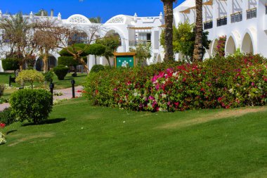 Sharm el-Sheikh, Mısır - 14 Mart 2018. Bir yaz gününde mükemmel bir beyaz otel avlusu. Turizm, tatil ve lüks eğlence kavramı. Cyrene Grand otel konaklama