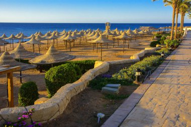 Sharm el-Sheikh, Mısır - 14 Mart 2018. Bir dizi karşı bir mavi gökyüzü ve mavi deniz kumlu bir plaj üzerinde aşırı ısınma karşı korumak için hasır şemsiyeler. Yaz tatil, turizm, seyahat kavramı.
