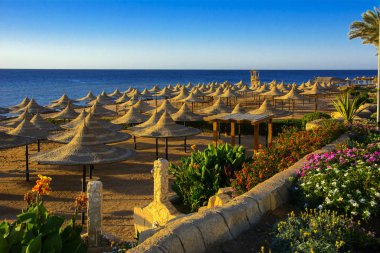 Sharm el-Sheikh, Mısır - 14 Mart 2018. Bir dizi karşı bir mavi gökyüzü ve mavi deniz kumlu bir plaj üzerinde aşırı ısınma karşı korumak için hasır şemsiyeler. Yaz tatil, turizm, seyahat kavramı.