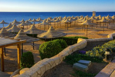 Sharm el-Sheikh, Mısır - 14 Mart 2018. Bir dizi karşı bir mavi gökyüzü ve mavi deniz kumlu bir plaj üzerinde aşırı ısınma karşı korumak için hasır şemsiyeler. Yaz tatil, turizm, seyahat kavramı.