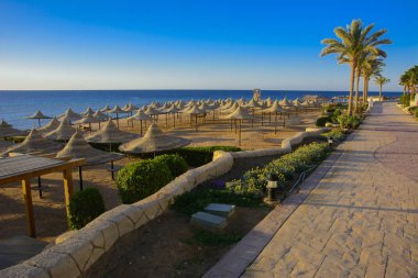 Sharm el-Sheikh, Mısır - 14 Mart 2018. Bir dizi karşı bir mavi gökyüzü ve mavi deniz kumlu bir plaj üzerinde aşırı ısınma karşı korumak için hasır şemsiyeler. Yaz tatil, turizm, seyahat kavramı.