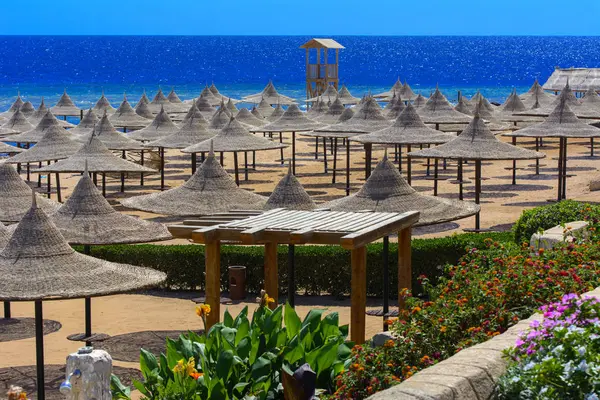 Sharm el-Sheikh, Mısır - 14 Mart 2018. Bir dizi karşı bir mavi gökyüzü ve mavi deniz kumlu bir plaj üzerinde aşırı ısınma karşı korumak için hasır şemsiyeler. Yaz tatil, turizm, seyahat kavramı.