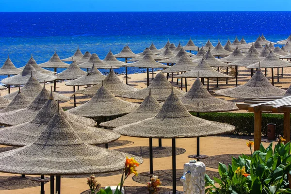 Sharm el-Sheikh, Mısır - 14 Mart 2018. Bir dizi karşı bir mavi gökyüzü ve mavi deniz kumlu bir plaj üzerinde aşırı ısınma karşı korumak için hasır şemsiyeler. Yaz tatil, turizm, seyahat kavramı.