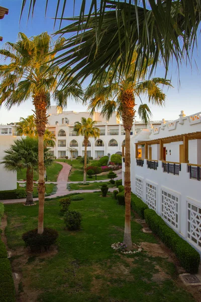 Sharm Sheikh Egypt Marca 2018 Podwórkach Wspaniały Biały Hotel Letni — Zdjęcie stockowe