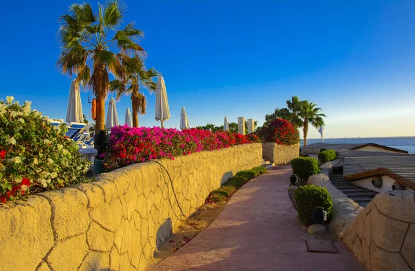 Sharm el-Sheikh, Mısır - 14 Mart 2018. Gecenin mükemmel bir beyaz otel avlusu. Güneş doğuyor. Kavram Turizm, tatil ve lüks eğlence. Cyrene Grand otel konaklama