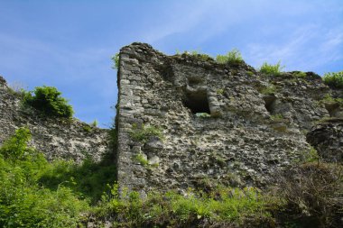 Khust şehir (Drakula Şatosu) kale antik kalıntıları. bir savunma işlevinin uygulandığı ve birçok savaşta önemli bir rol oynamıştır bir büyük ve güçlü kalesi. Ukrayna, Europe