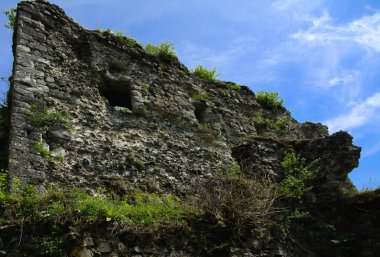 Khust şehir (Drakula Şatosu) kale antik kalıntıları. bir savunma işlevinin uygulandığı ve birçok savaşta önemli bir rol oynamıştır bir büyük ve güçlü kalesi. Ukrayna, Europe