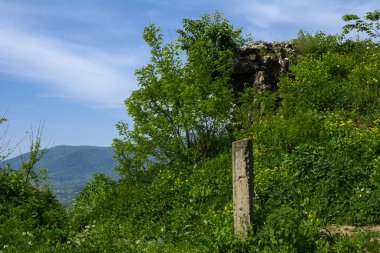 Khust şehir (Drakula Şatosu) kale antik kalıntıları. bir savunma işlevinin uygulandığı ve birçok savaşta önemli bir rol oynamıştır bir büyük ve güçlü kalesi. Ukrayna, Europe