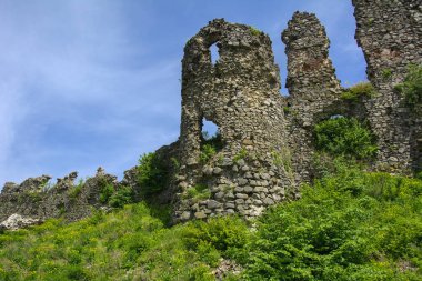 Khust şehir (Drakula Şatosu) kale antik kalıntıları. bir savunma işlevinin uygulandığı ve birçok savaşta önemli bir rol oynamıştır bir büyük ve güçlü kalesi. Ukrayna, Europe