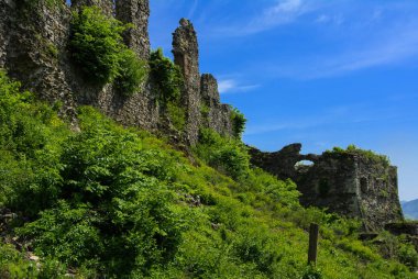 Khust şehir (Drakula Şatosu) kale antik kalıntıları. bir savunma işlevinin uygulandığı ve birçok savaşta önemli bir rol oynamıştır bir büyük ve güçlü kalesi. Ukrayna, Europe