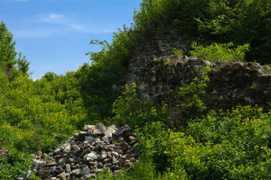 Khust şehir (Drakula Şatosu) kale antik kalıntıları. bir savunma işlevinin uygulandığı ve birçok savaşta önemli bir rol oynamıştır bir büyük ve güçlü kalesi. Ukrayna, Europe